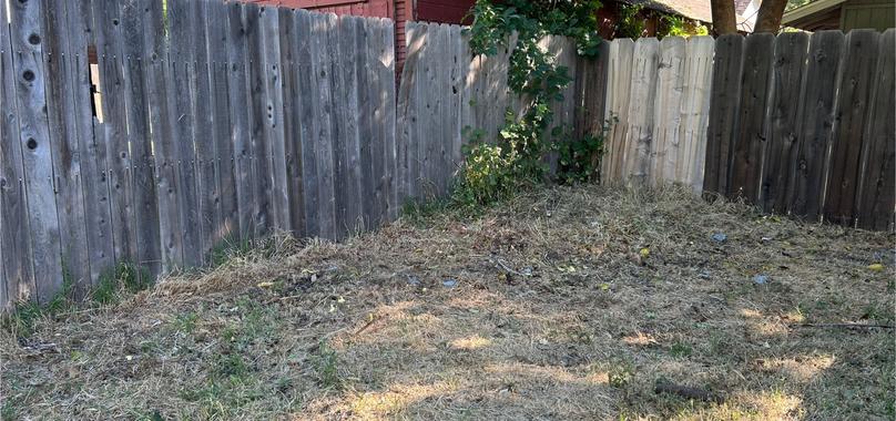 After: Construction Debris Removal in Hamilton City