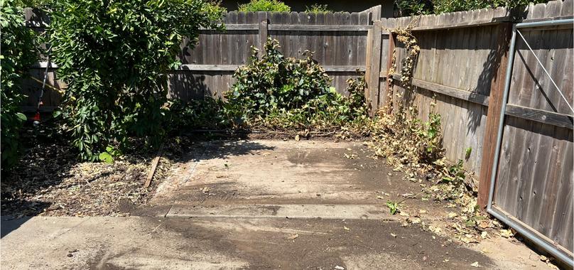 After: Junk Removal in Paradise