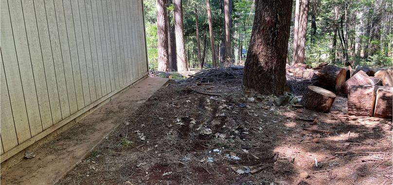 After: Construction Debris Removal in Paradise