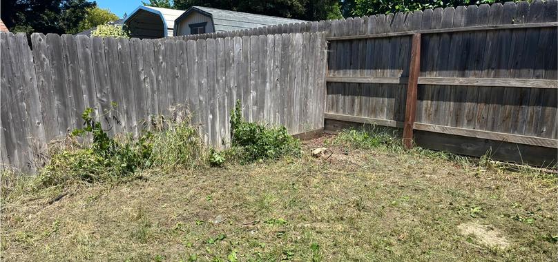 After: Yard Waste Removal in Magalia