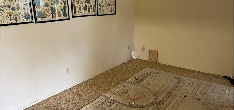 After: Furniture Removal in Chico