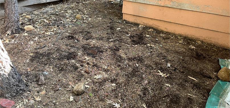 After: Construction Debris Removal in Hamilton City