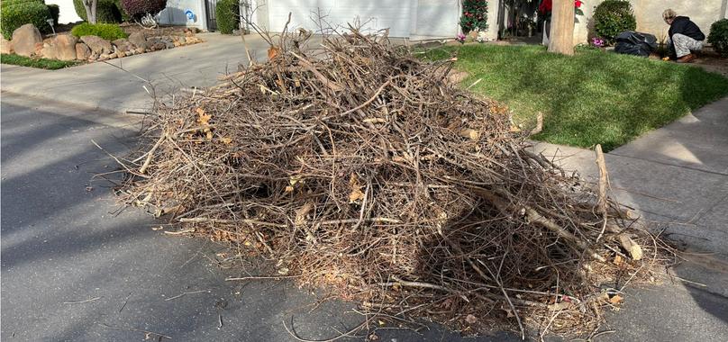 Before: Yard Waste Removal in Hamilton City