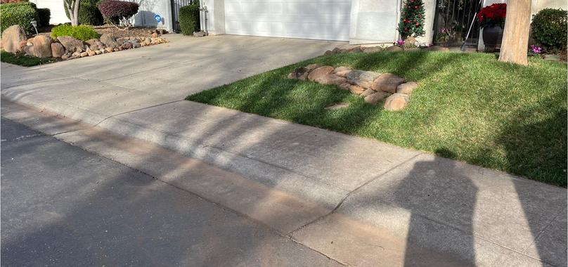 After: Yard Waste Removal in Hamilton City