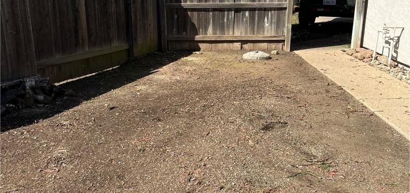 After: Yard Waste Removal in Durham