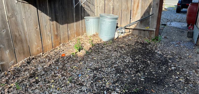 After: Junk Removal in Cohasset