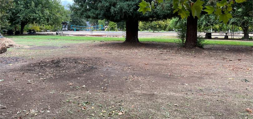 After: Yard Waste Removal in Paradise