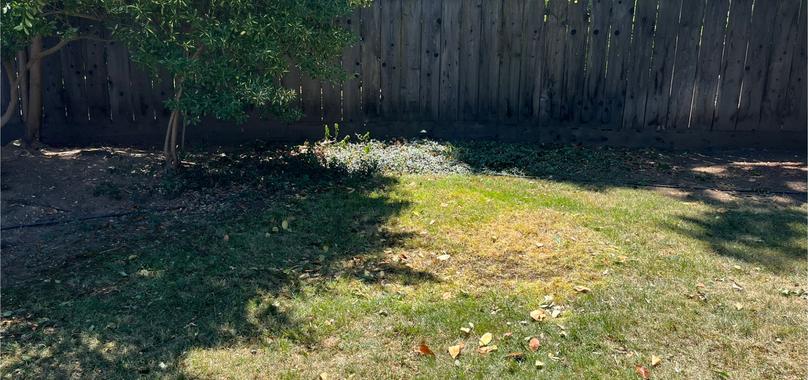 After: Yard Waste Removal in Orland