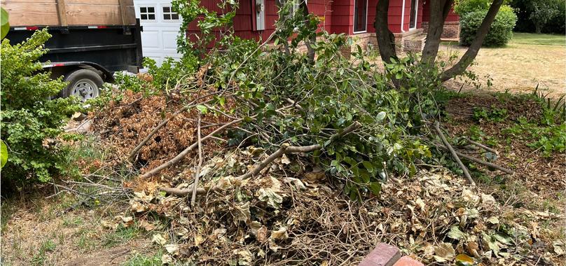 Before: Yard Waste Removal in Durham