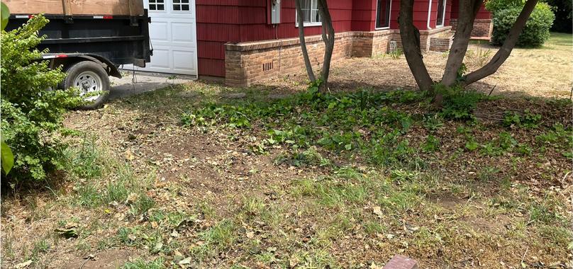 After: Yard Waste Removal in Durham