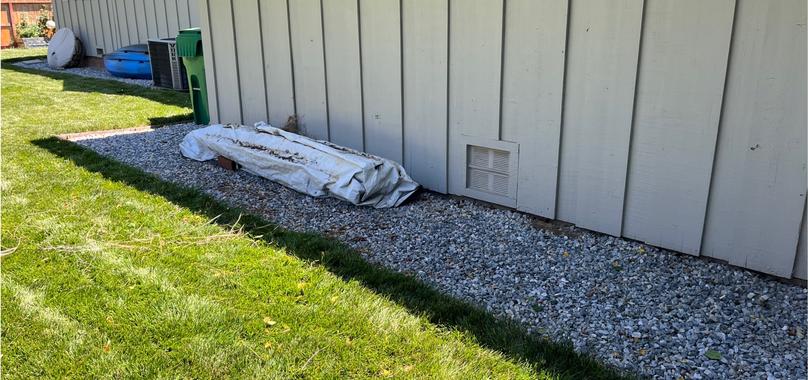 After: Commercial Junk Removal in Willows