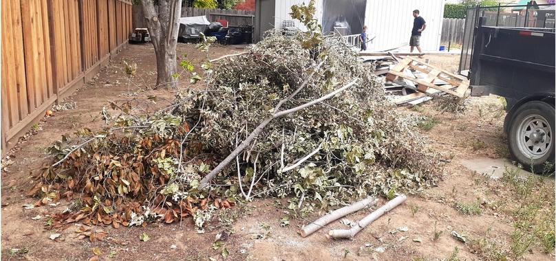 Before: Yard Waste Removal in Cohasset