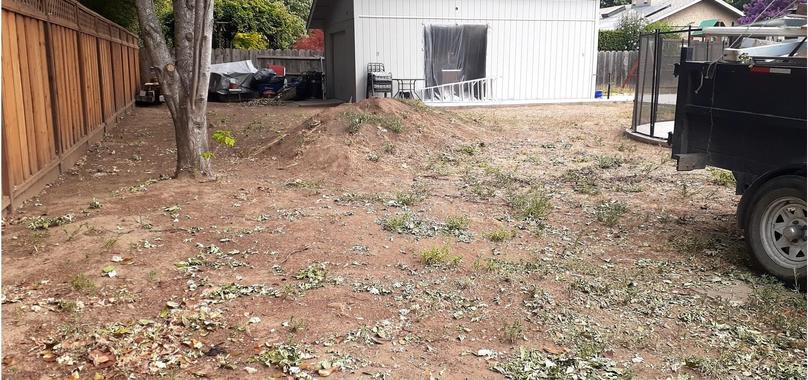 After: Yard Waste Removal in Cohasset