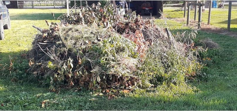 Before: Yard Waste Haul in Durham